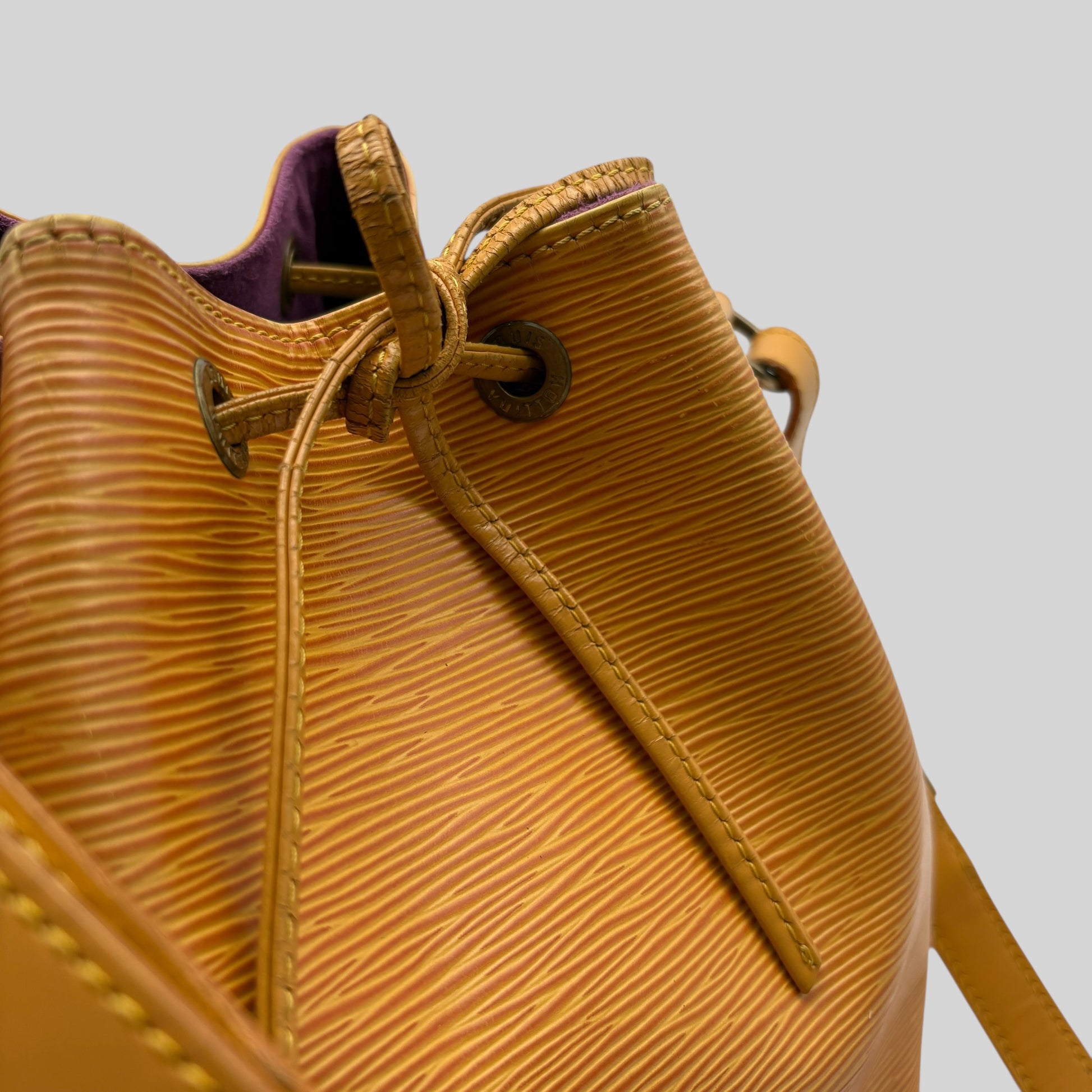 Louis Vuitton Noé PM Epi