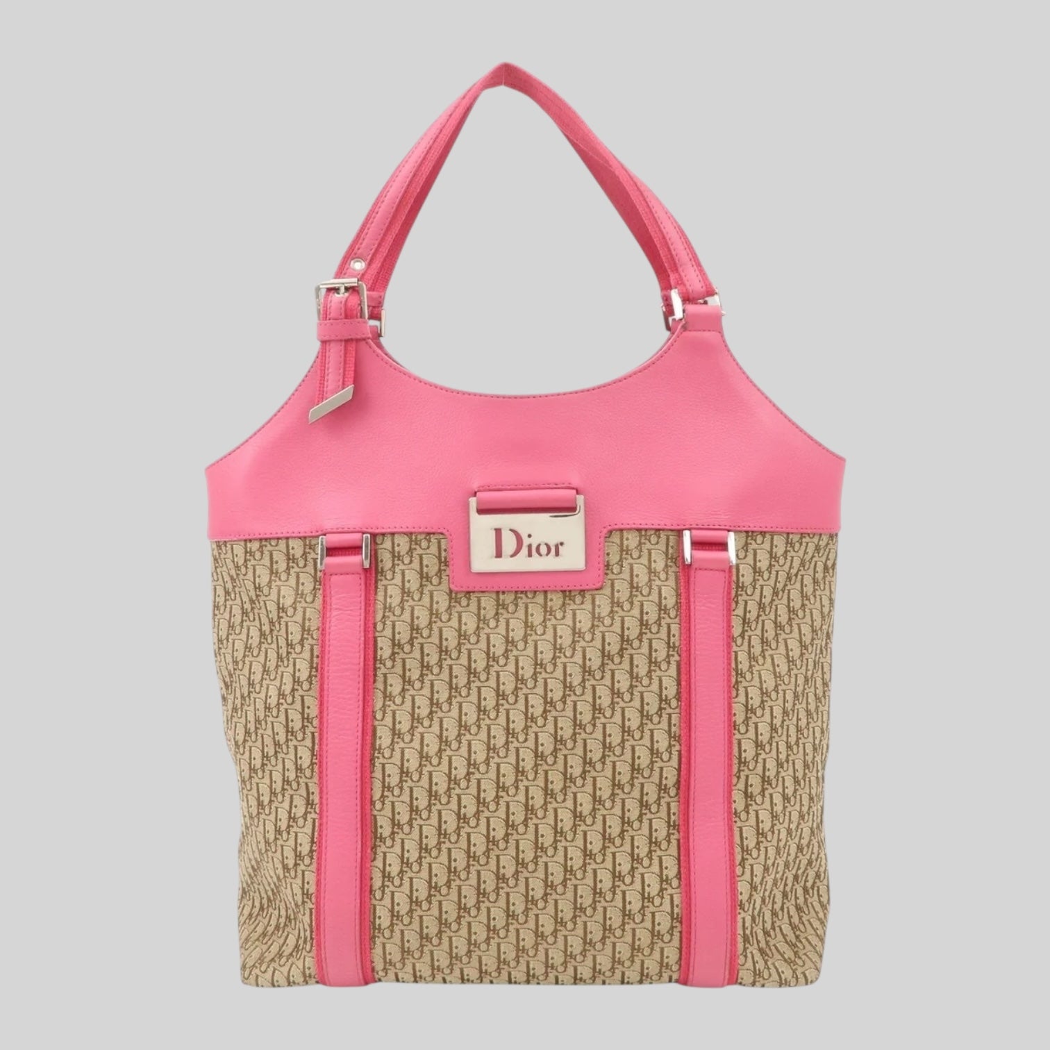 Dior Street Chic Trotter