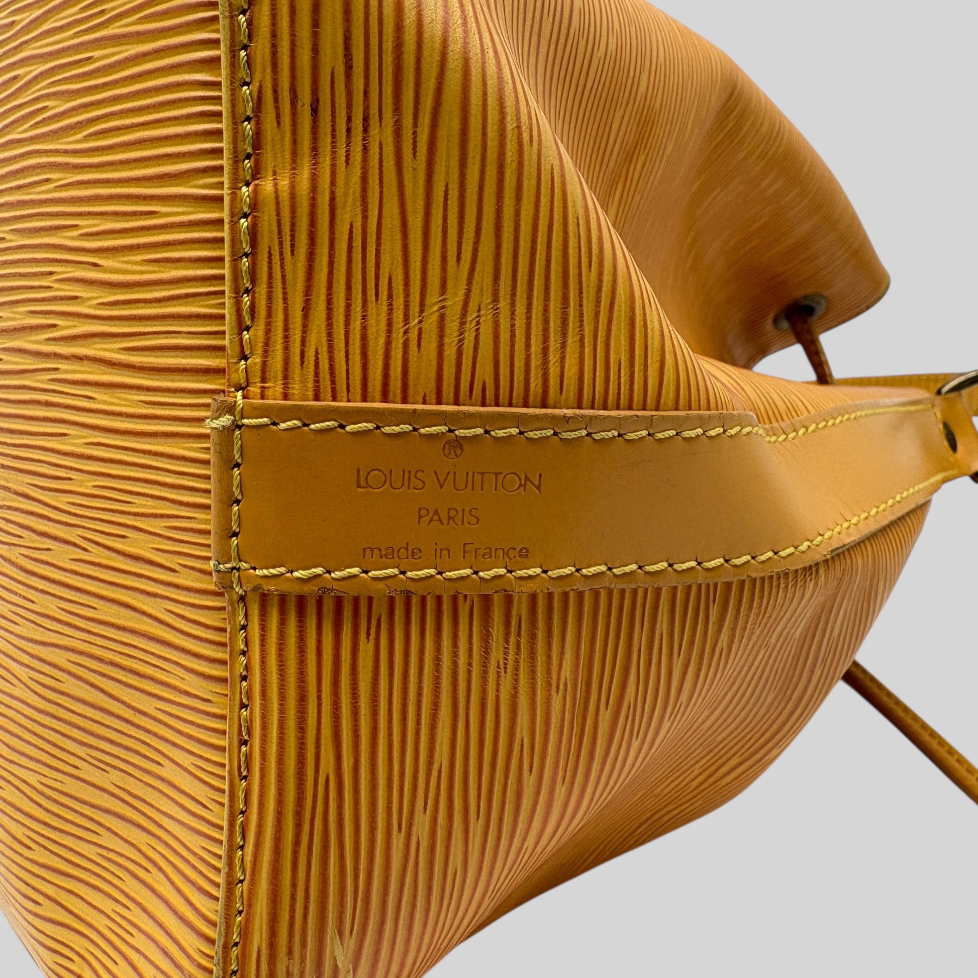 Louis Vuitton Noé PM Epi