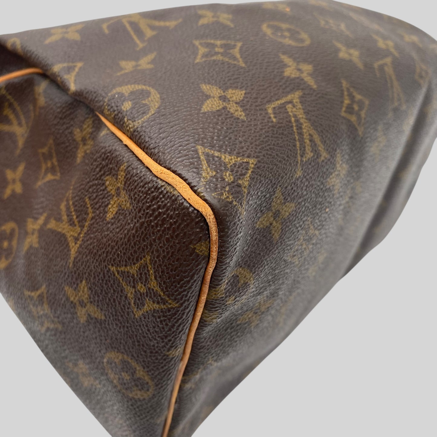 Louis Vuitton Speedy 25