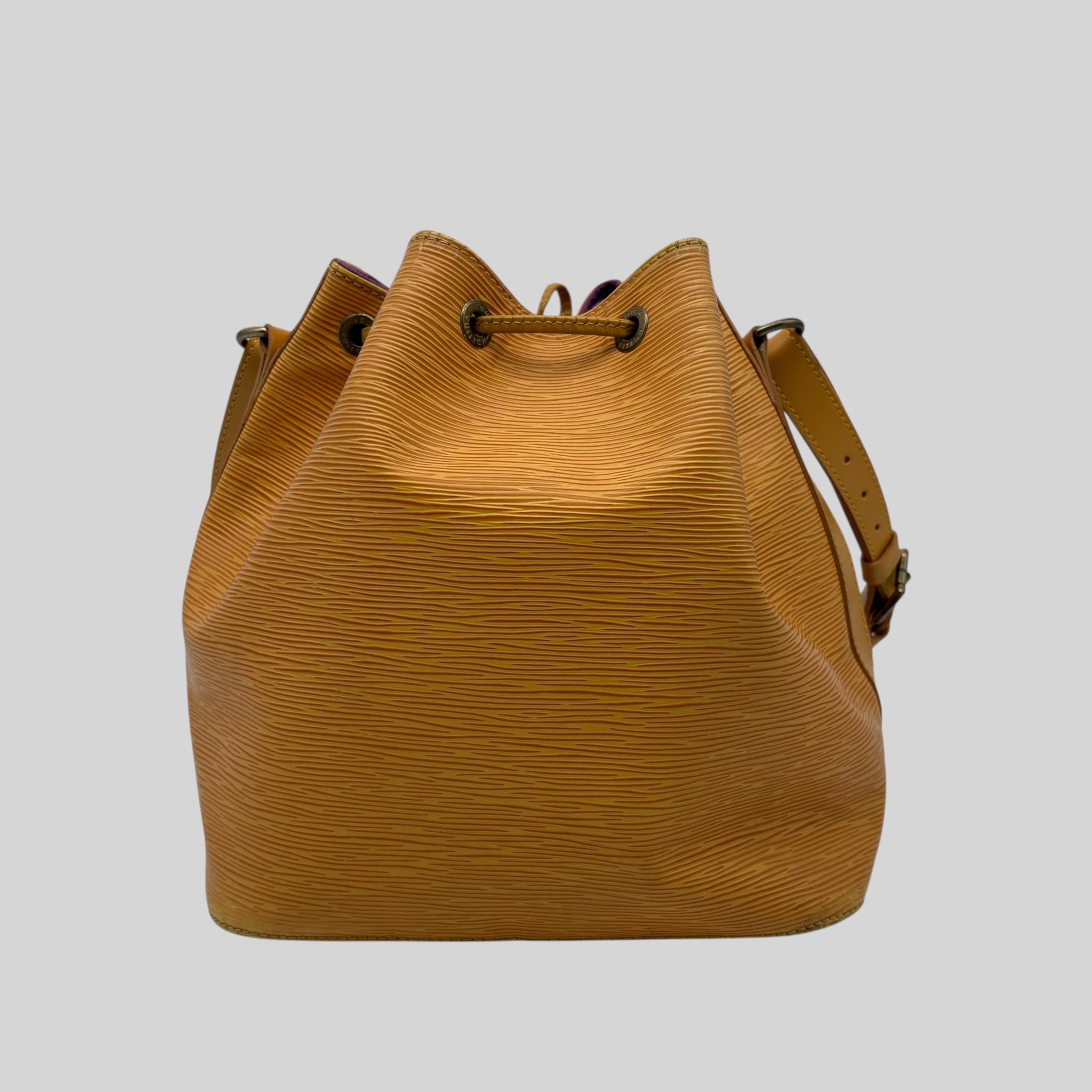 Louis Vuitton Noé PM Epi