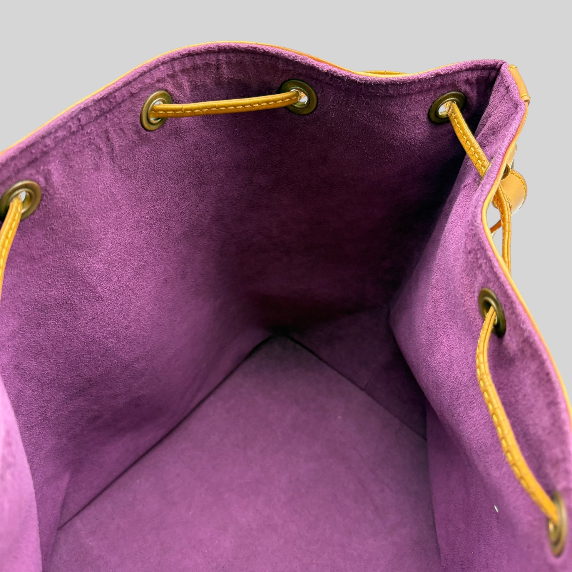 Louis Vuitton Noé PM Epi