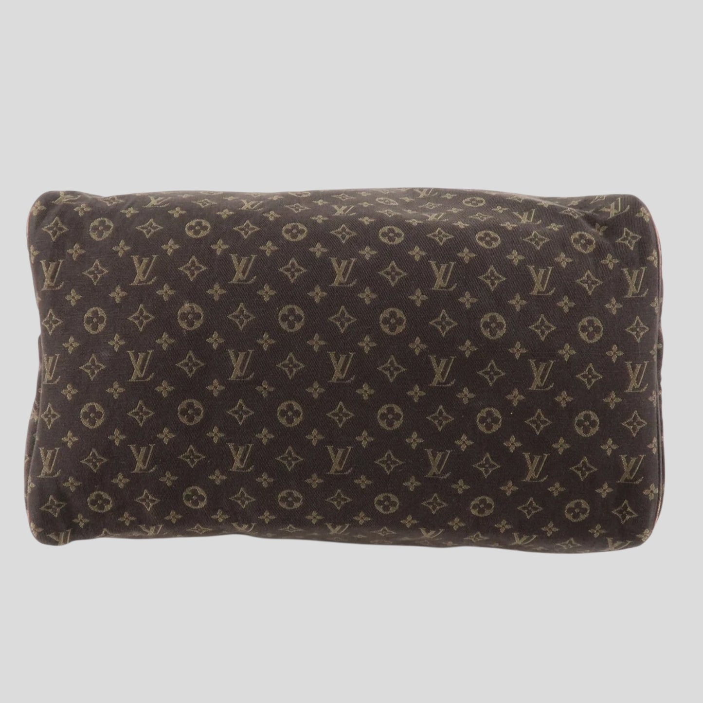 Louis Vuitton Speedy 30 Lin