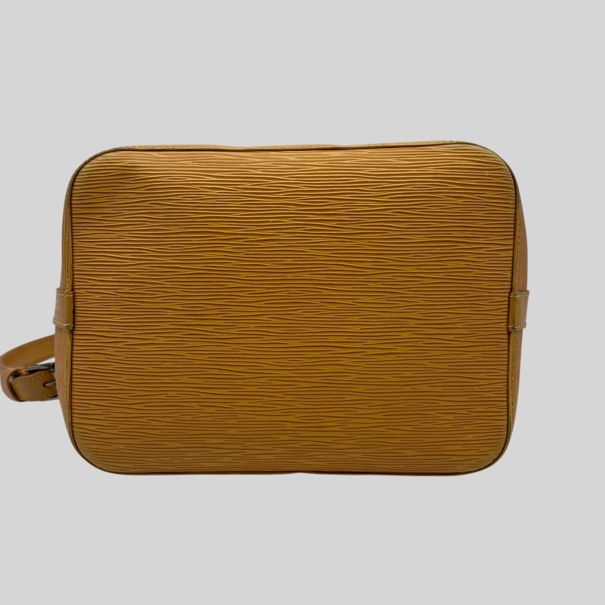Louis Vuitton Noé PM Epi