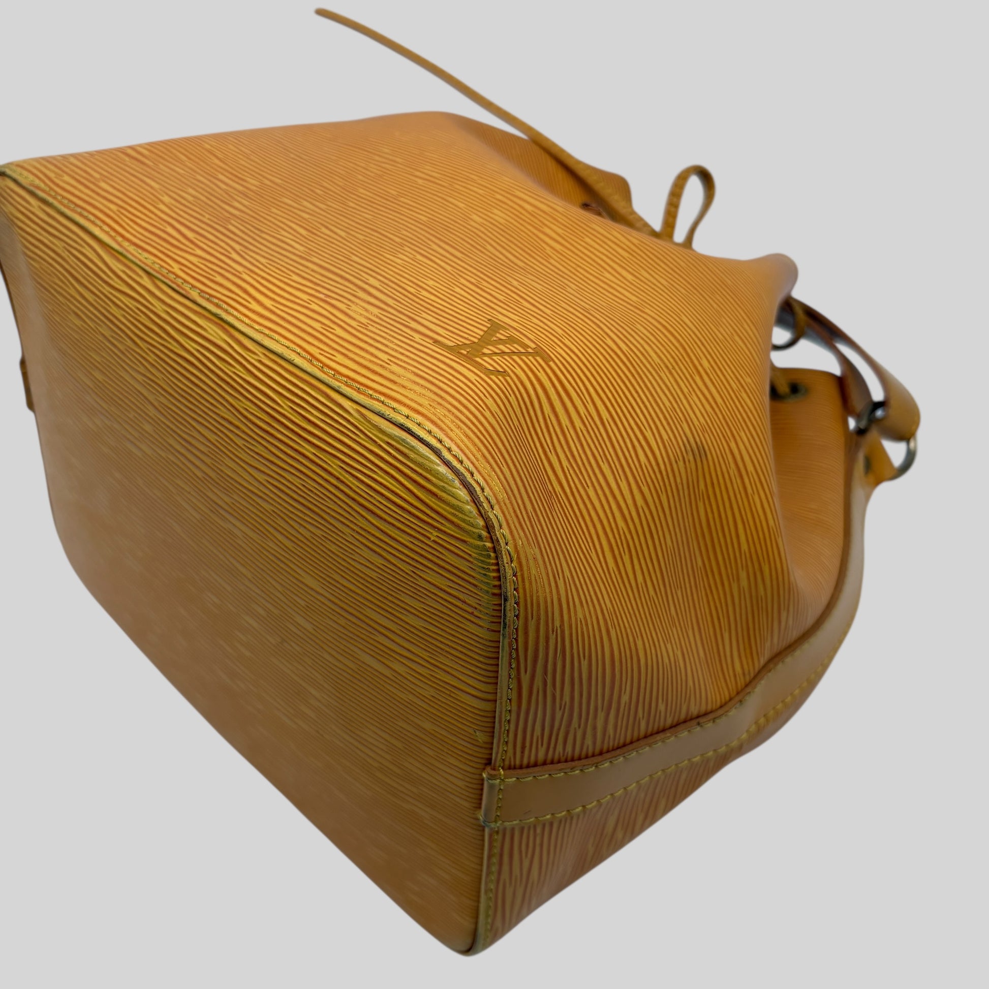 Louis Vuitton Noé PM Epi