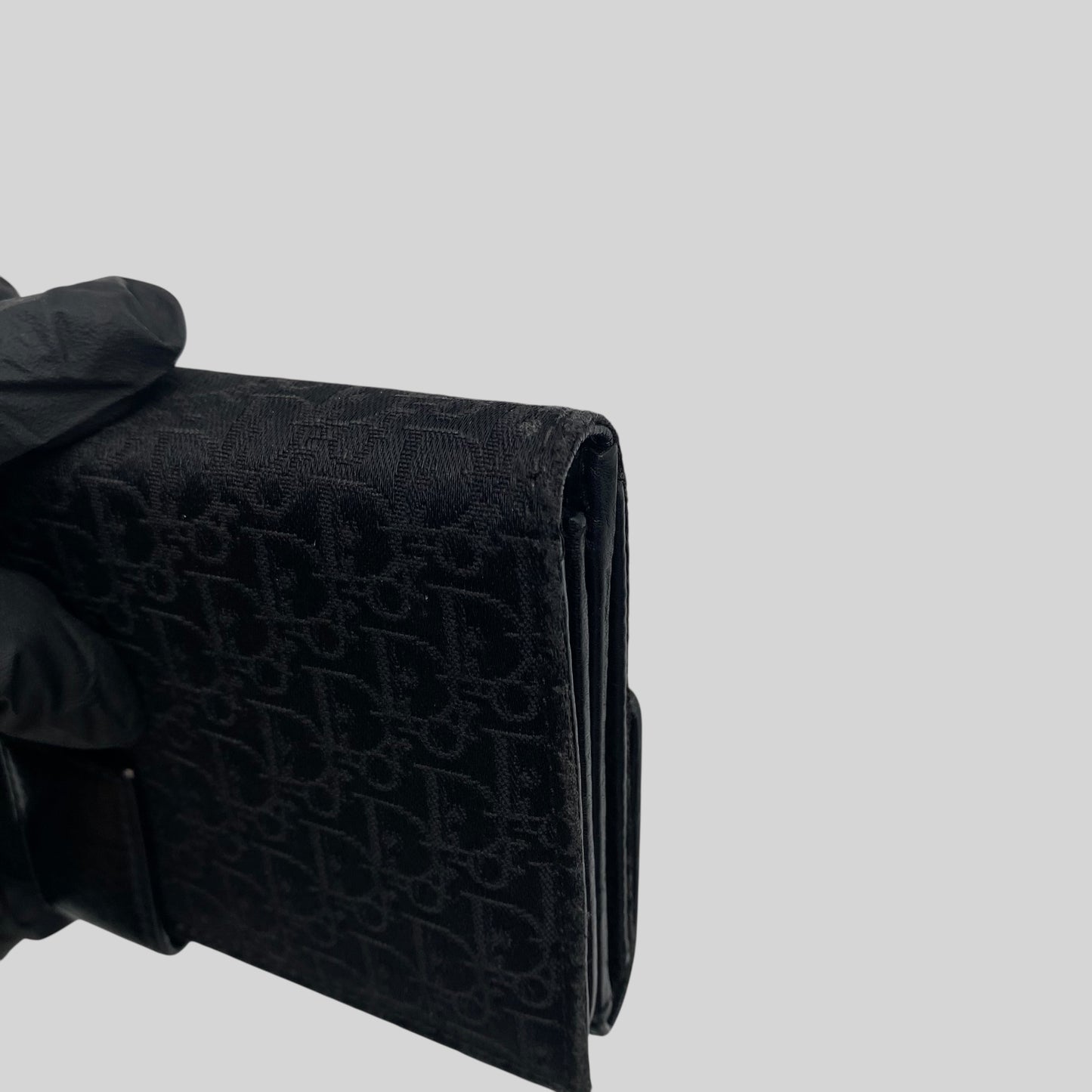 Dior Trotter