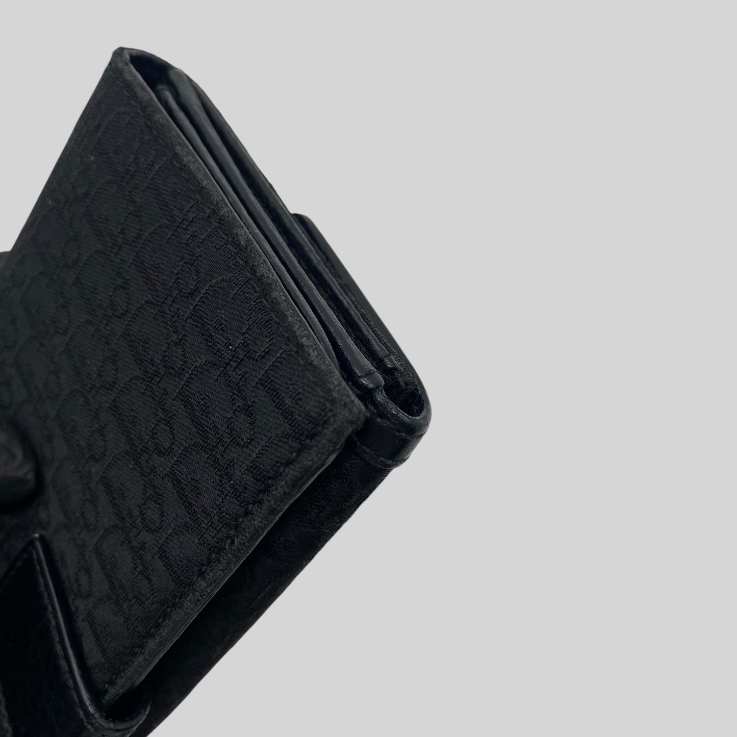 Dior Trotter