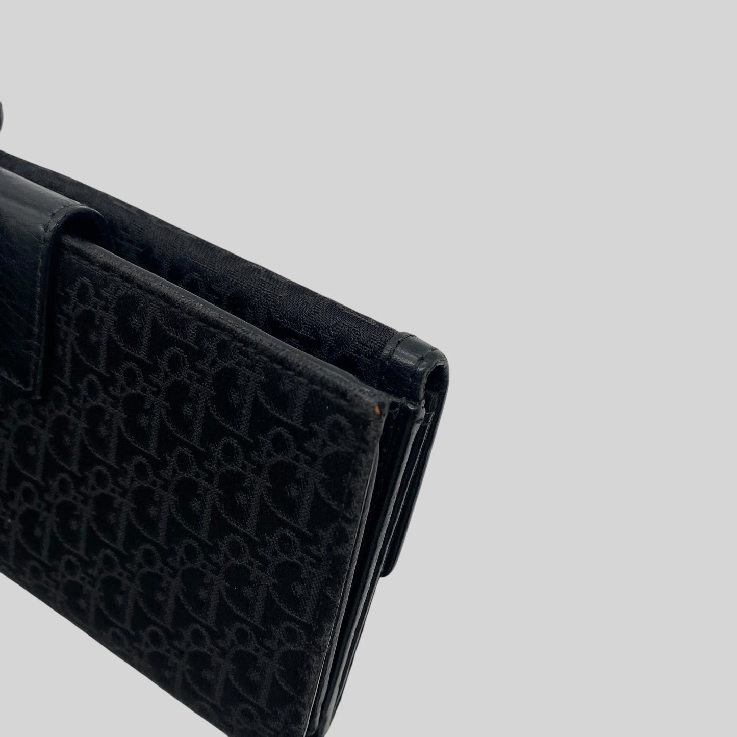 Dior Trotter