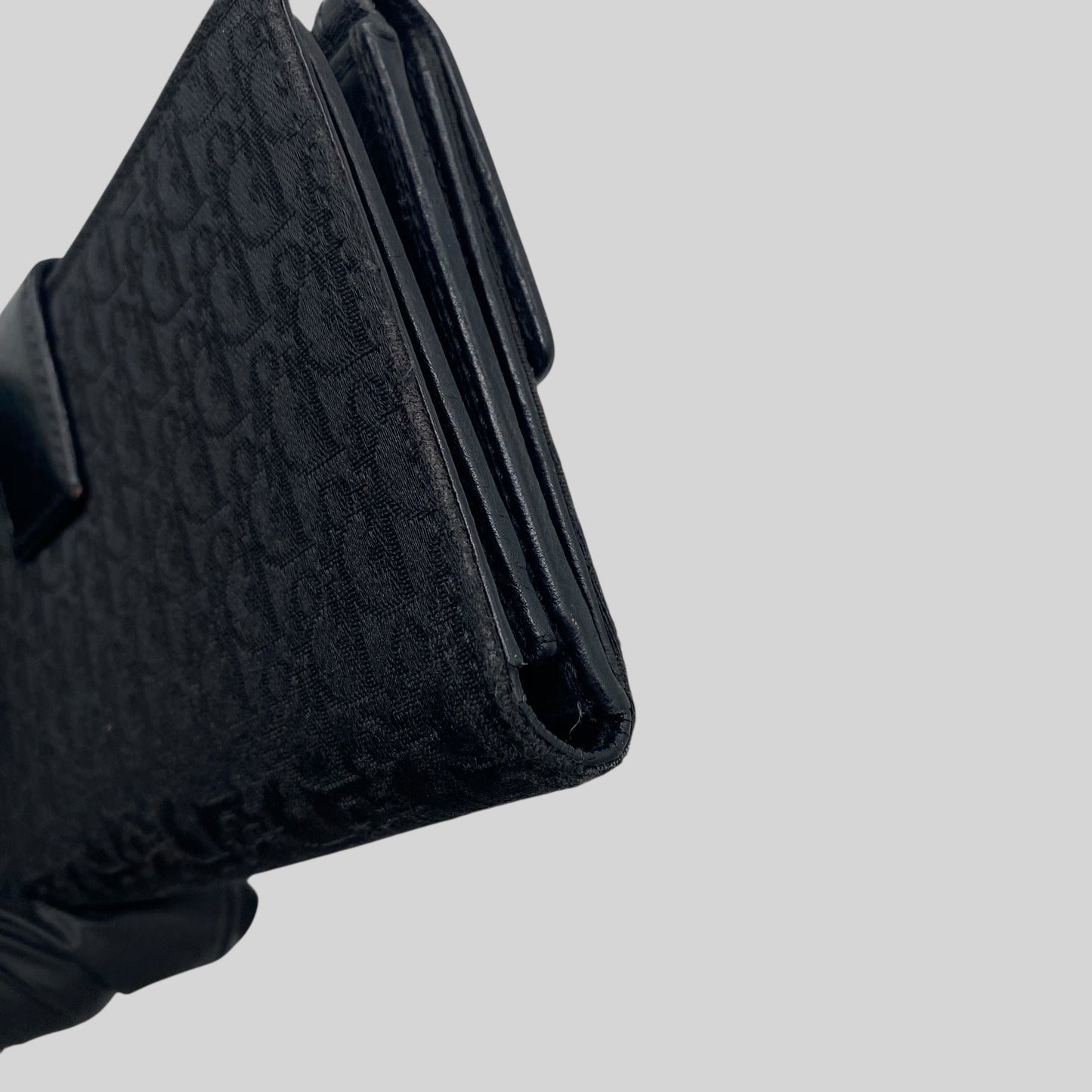 Dior Trotter