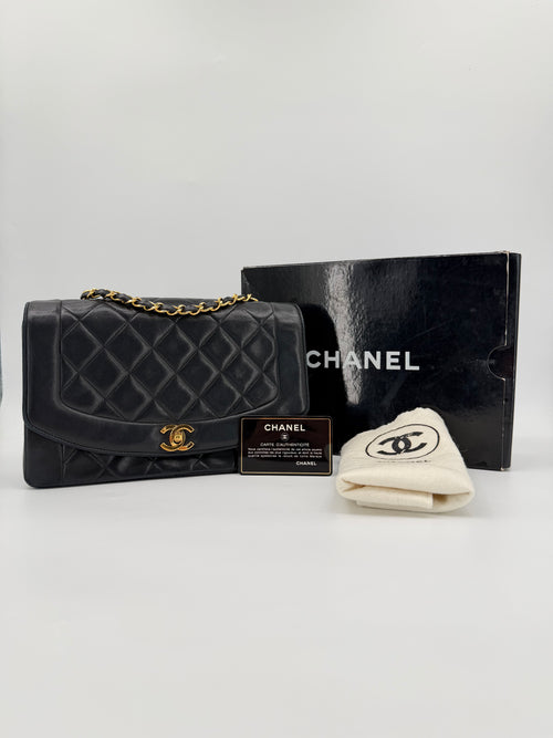 CHANEL DIANA 25