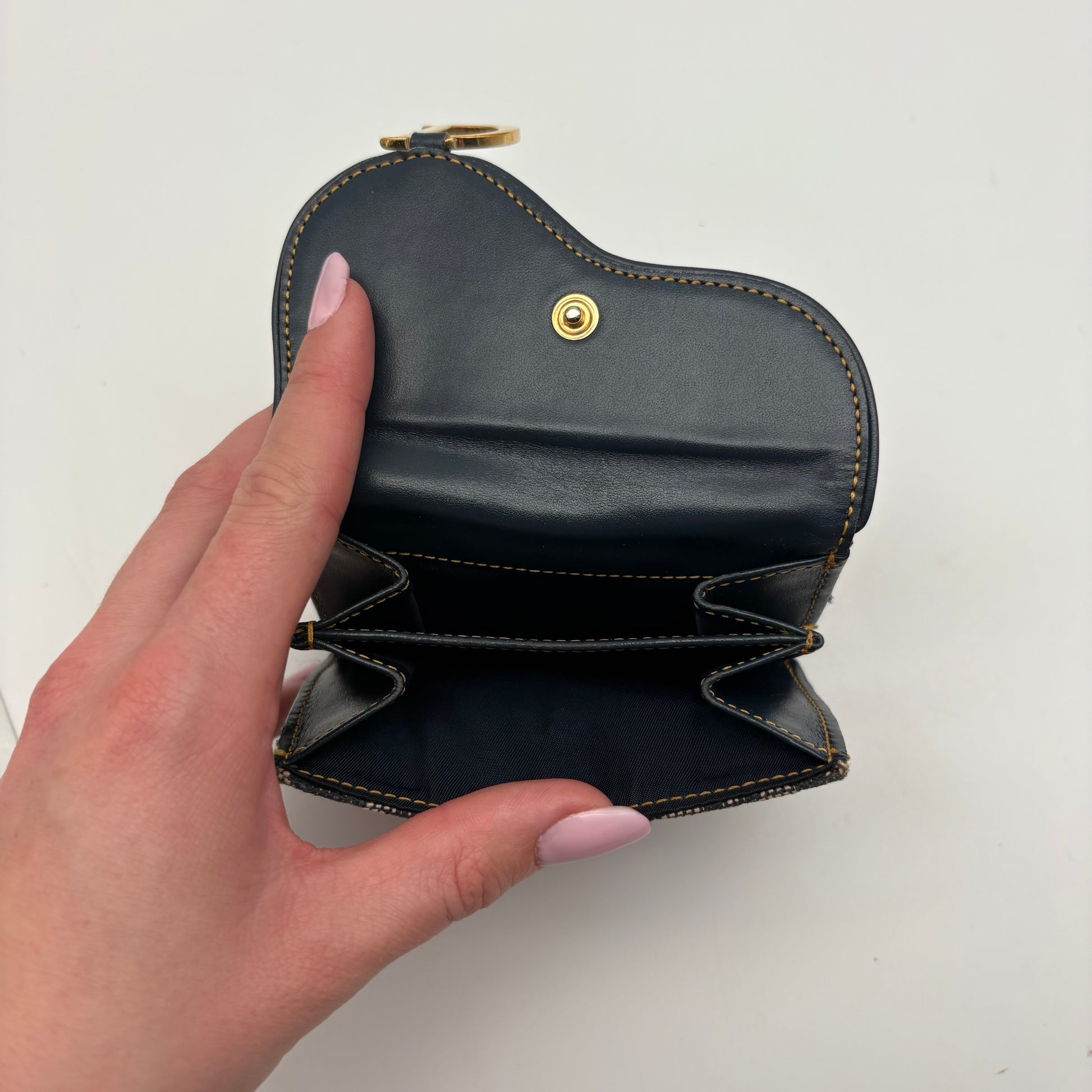 Dior Saddle