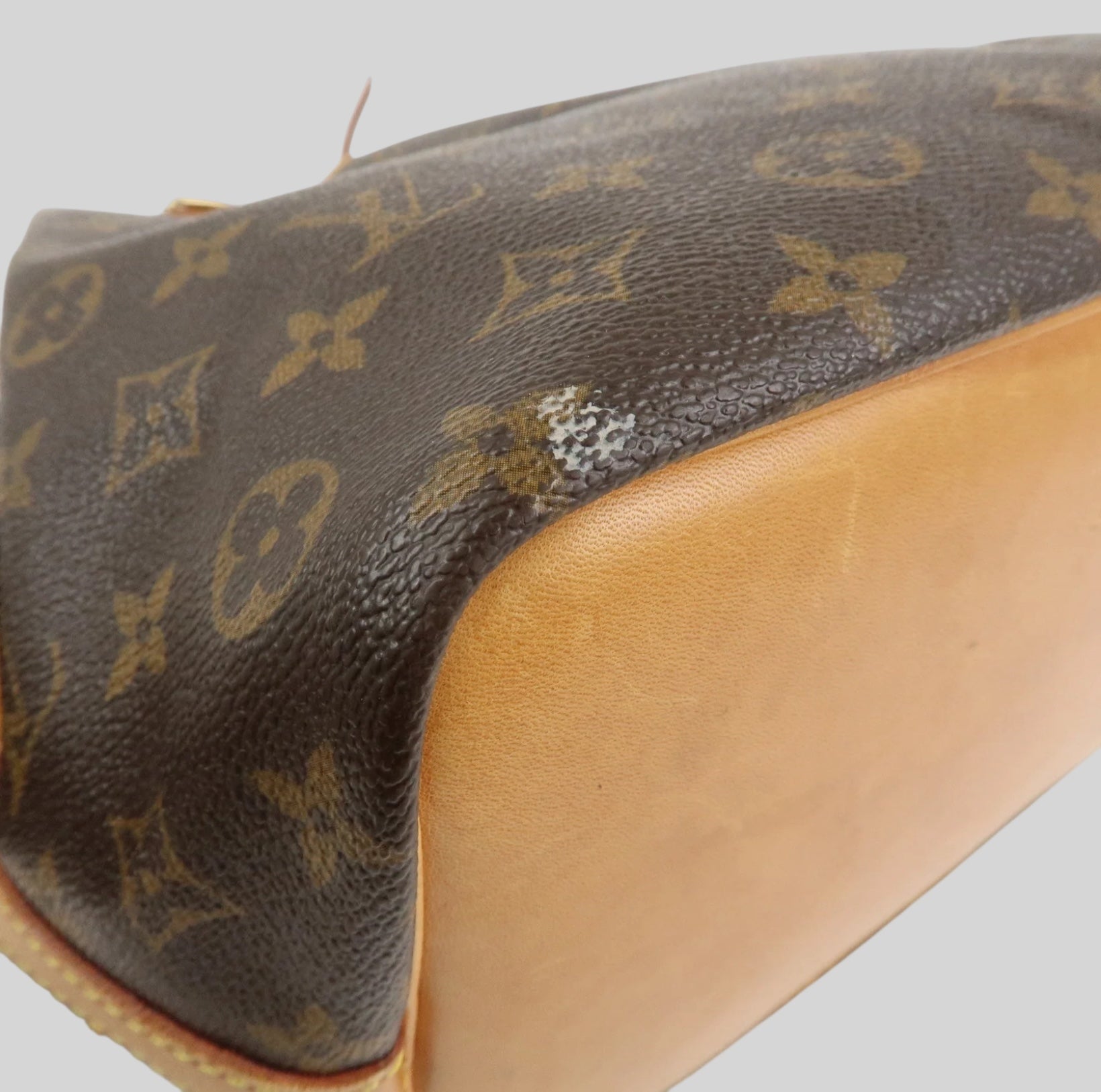 Louis Vuitton Noé PM