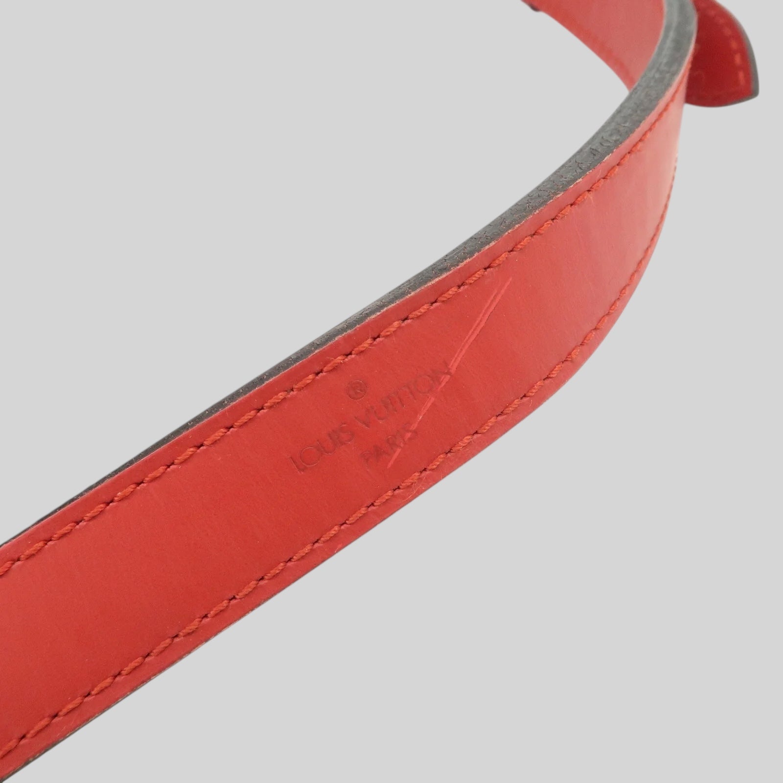 Louis Vuitton Noé PM Epi