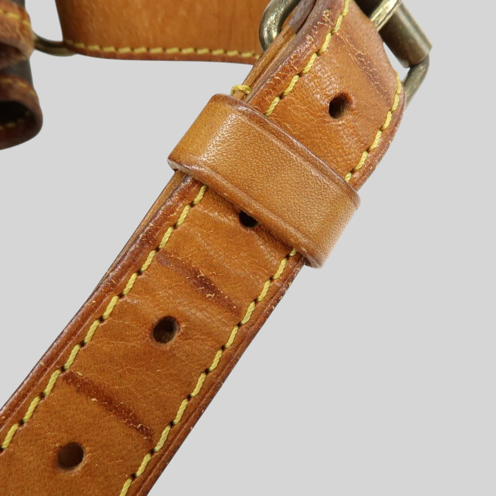 Louis Vuitton Noé PM