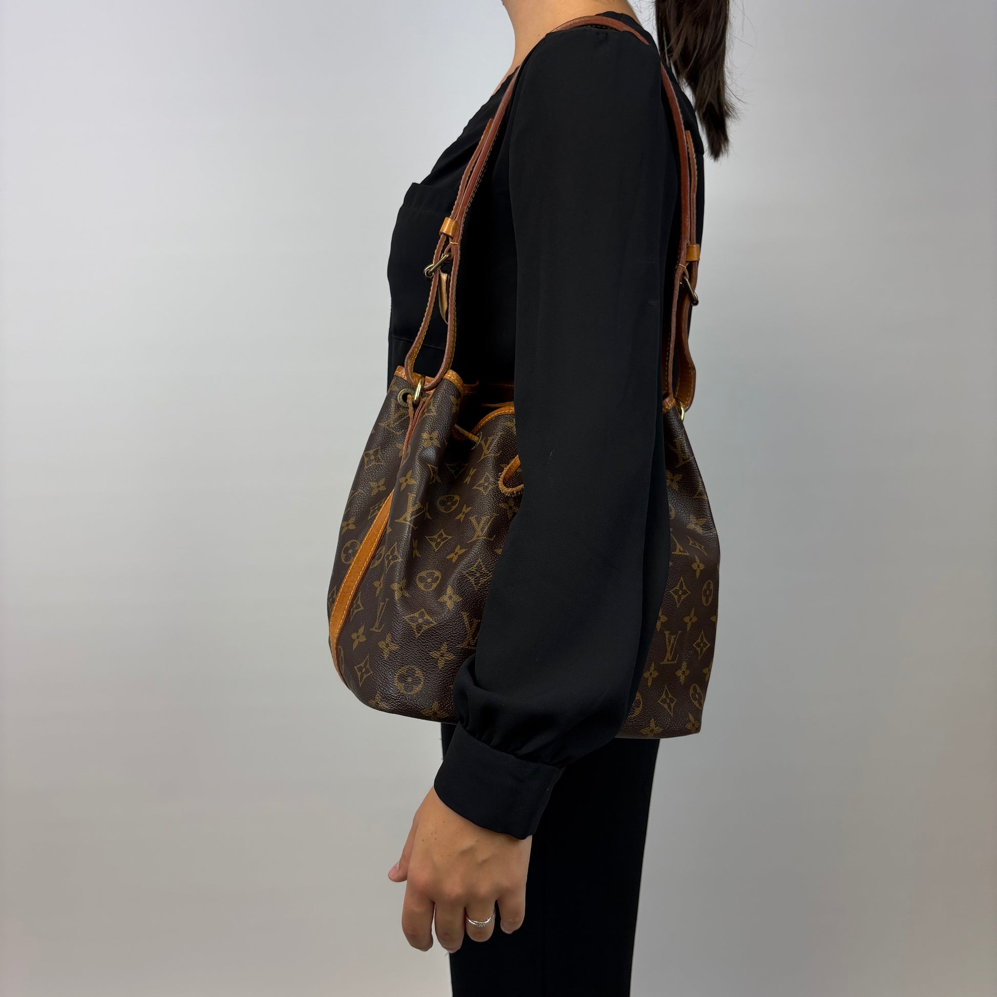 Louis Vuitton Noé PM