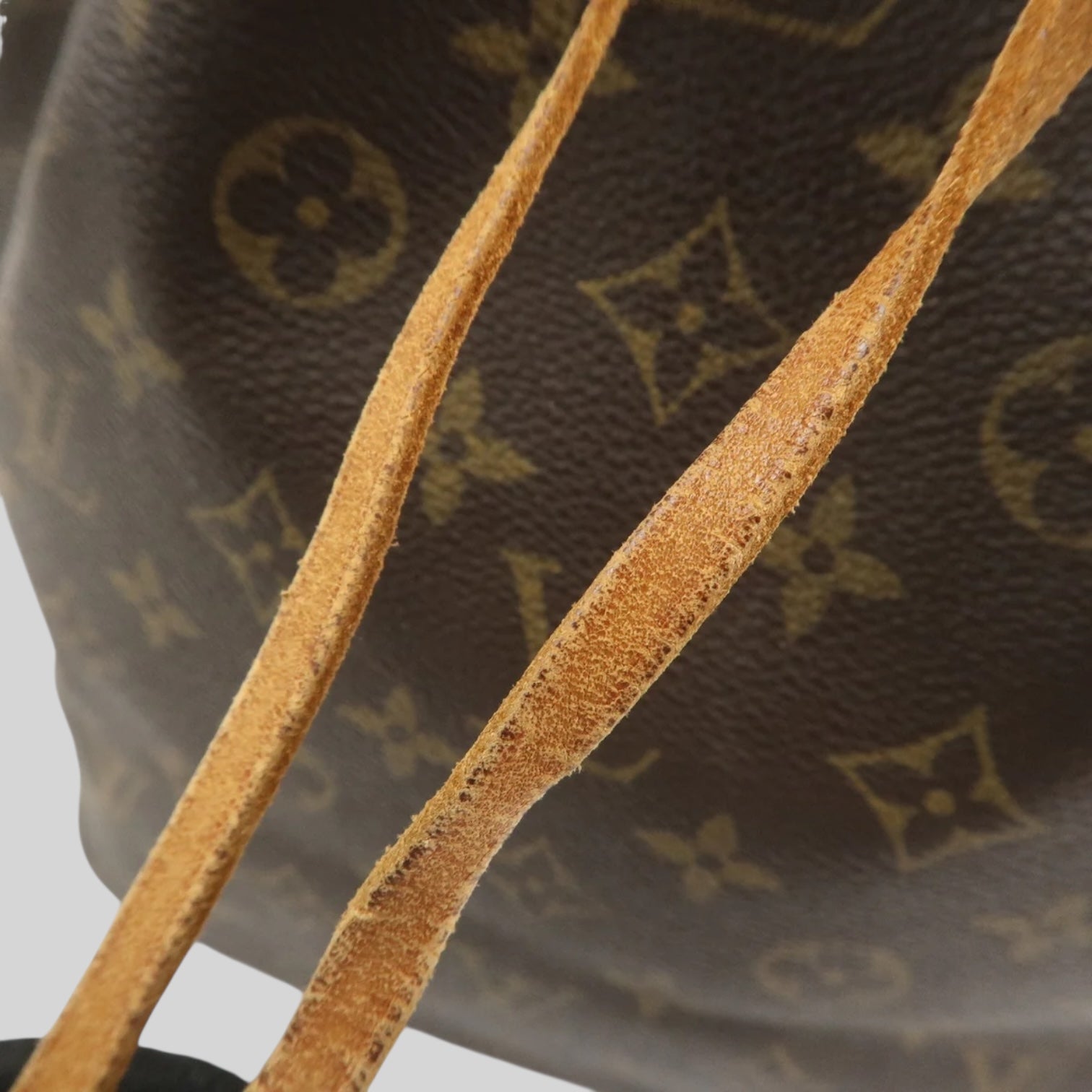 Louis Vuitton Noé PM