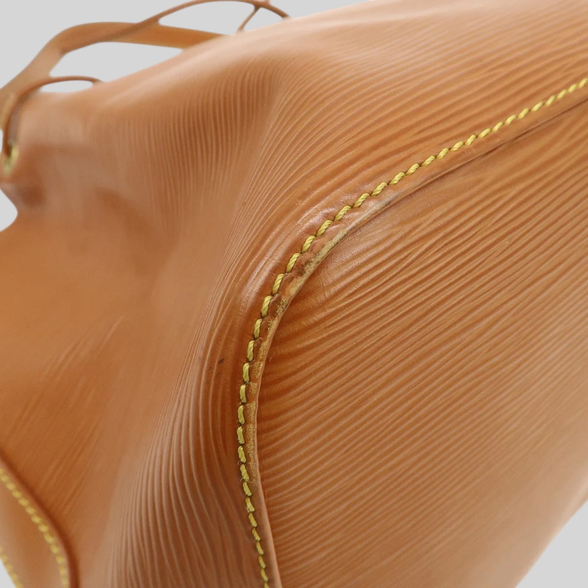 Louis Vuitton Noé PM Epi