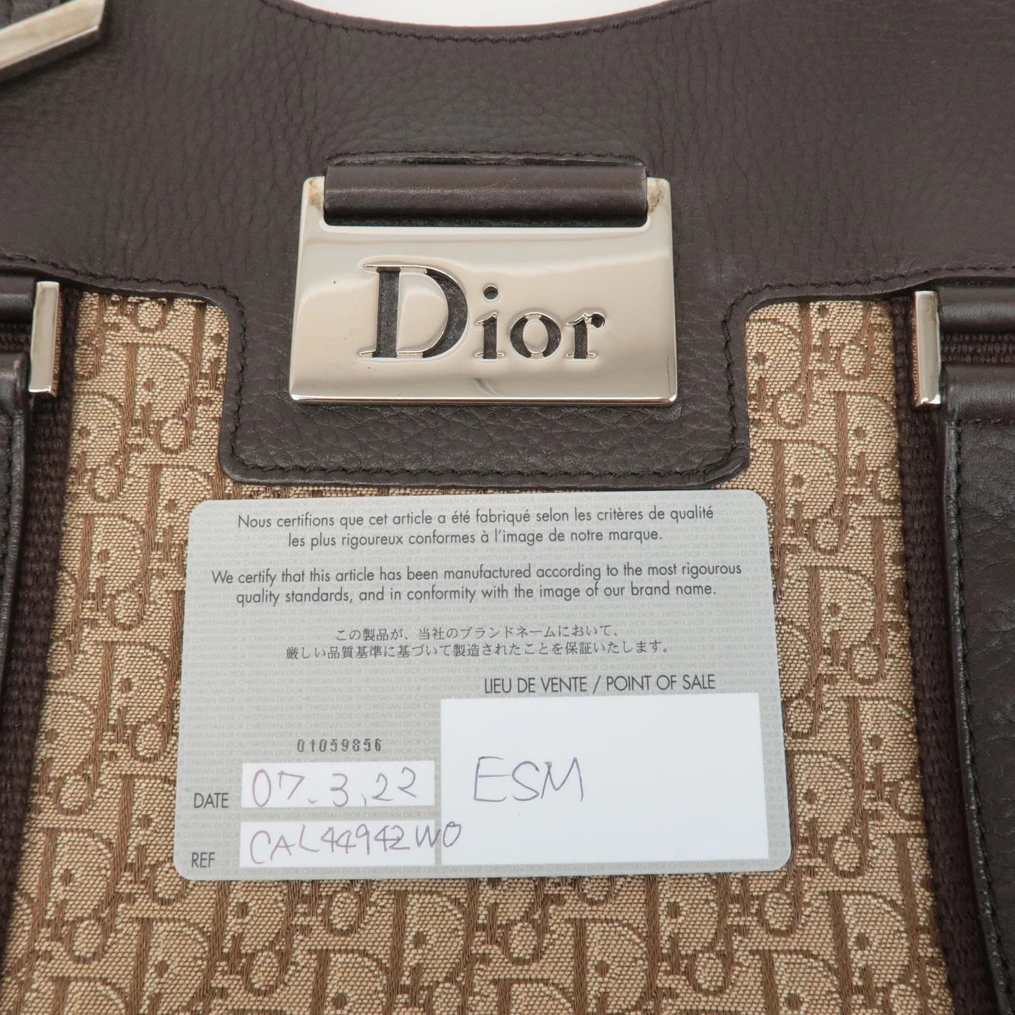 Dior Street Chic Trotter