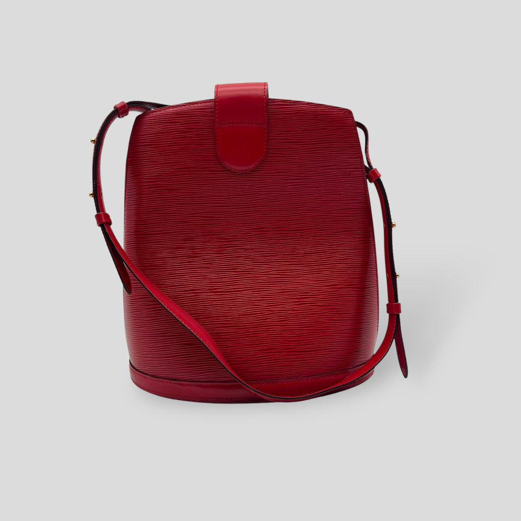 Louis Vuitton Cluny Epi