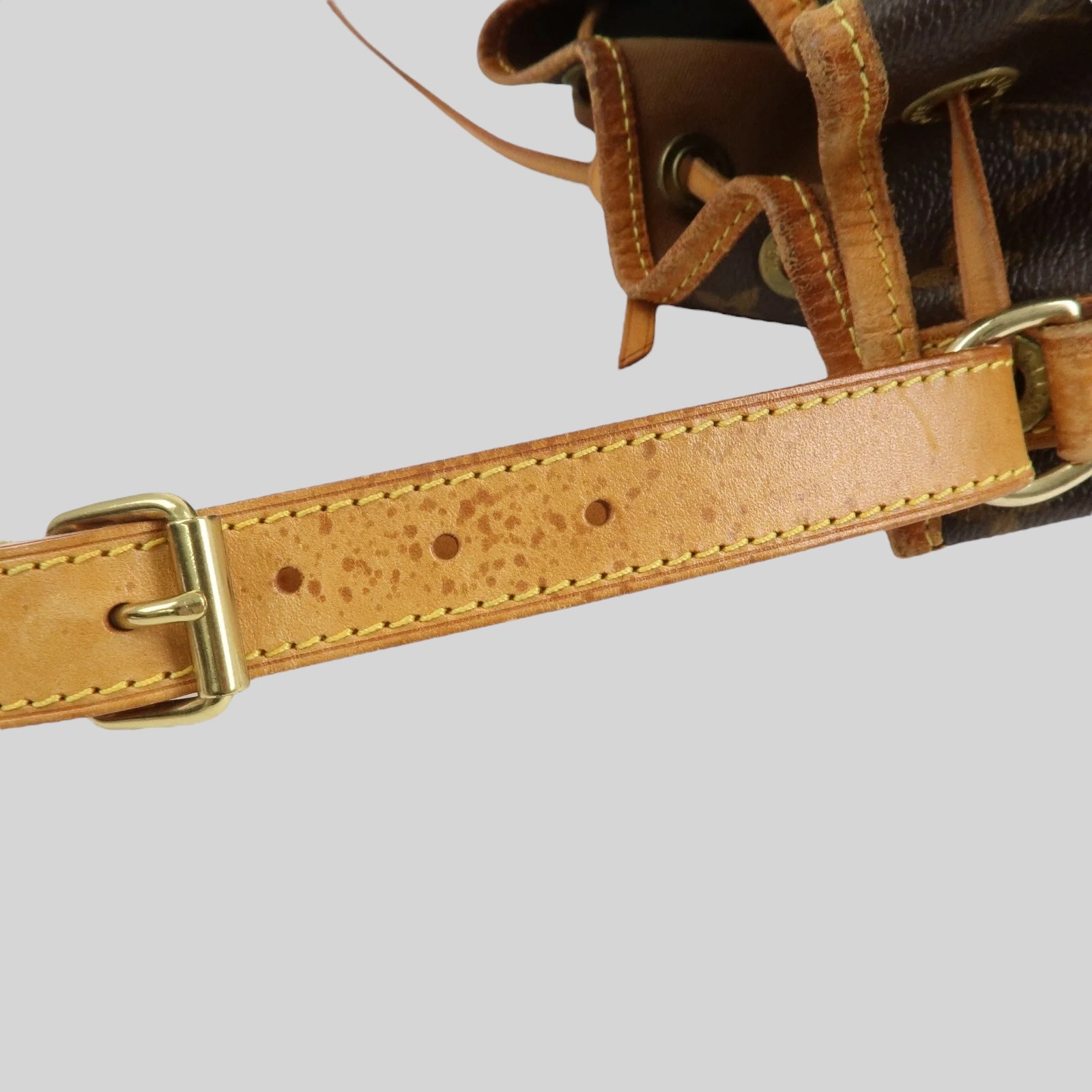 Louis Vuitton Noé PM