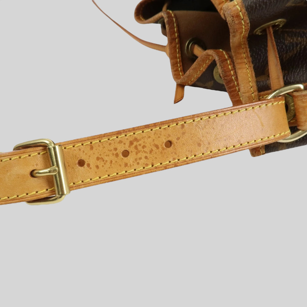 Louis Vuitton Noé PM