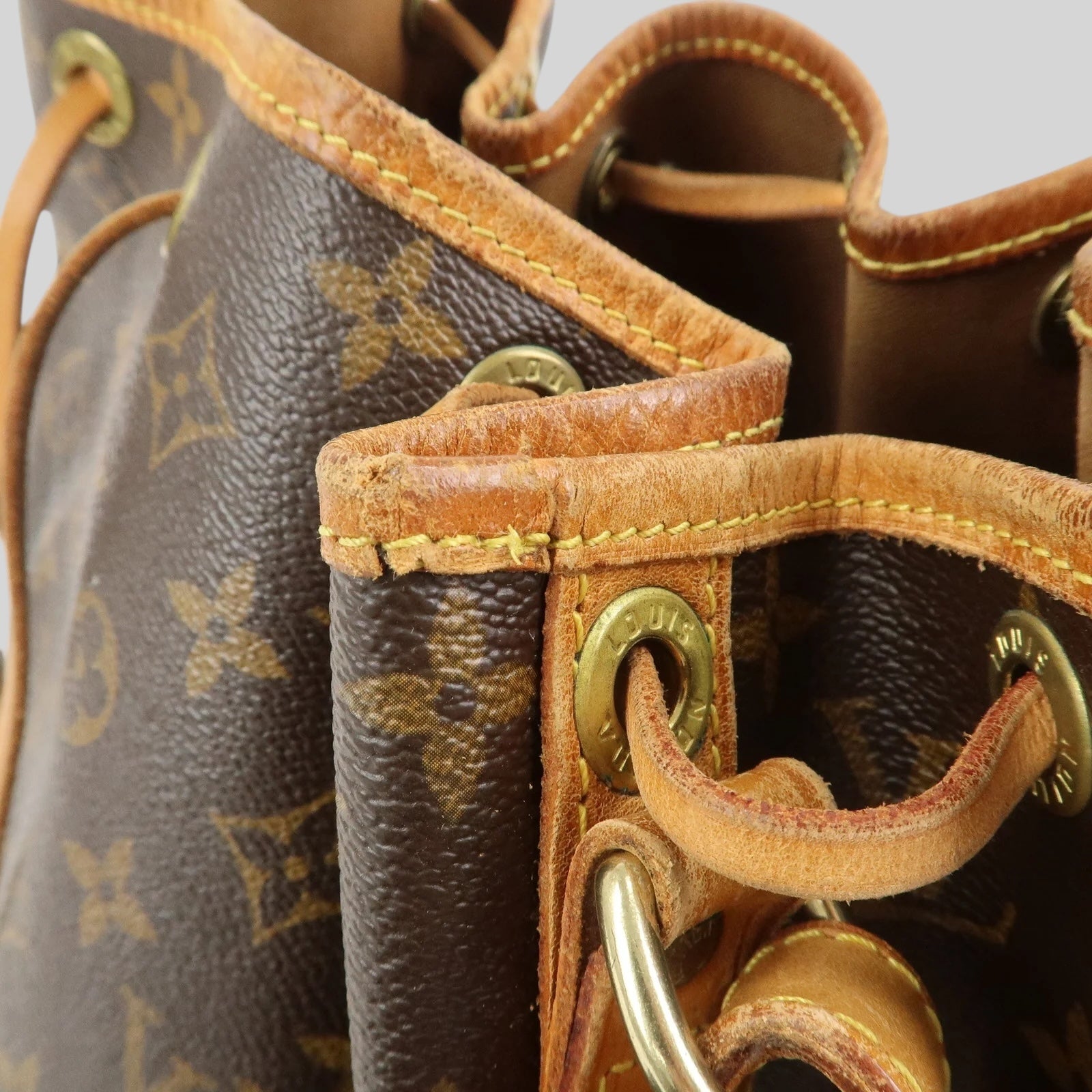Louis Vuitton Noé PM