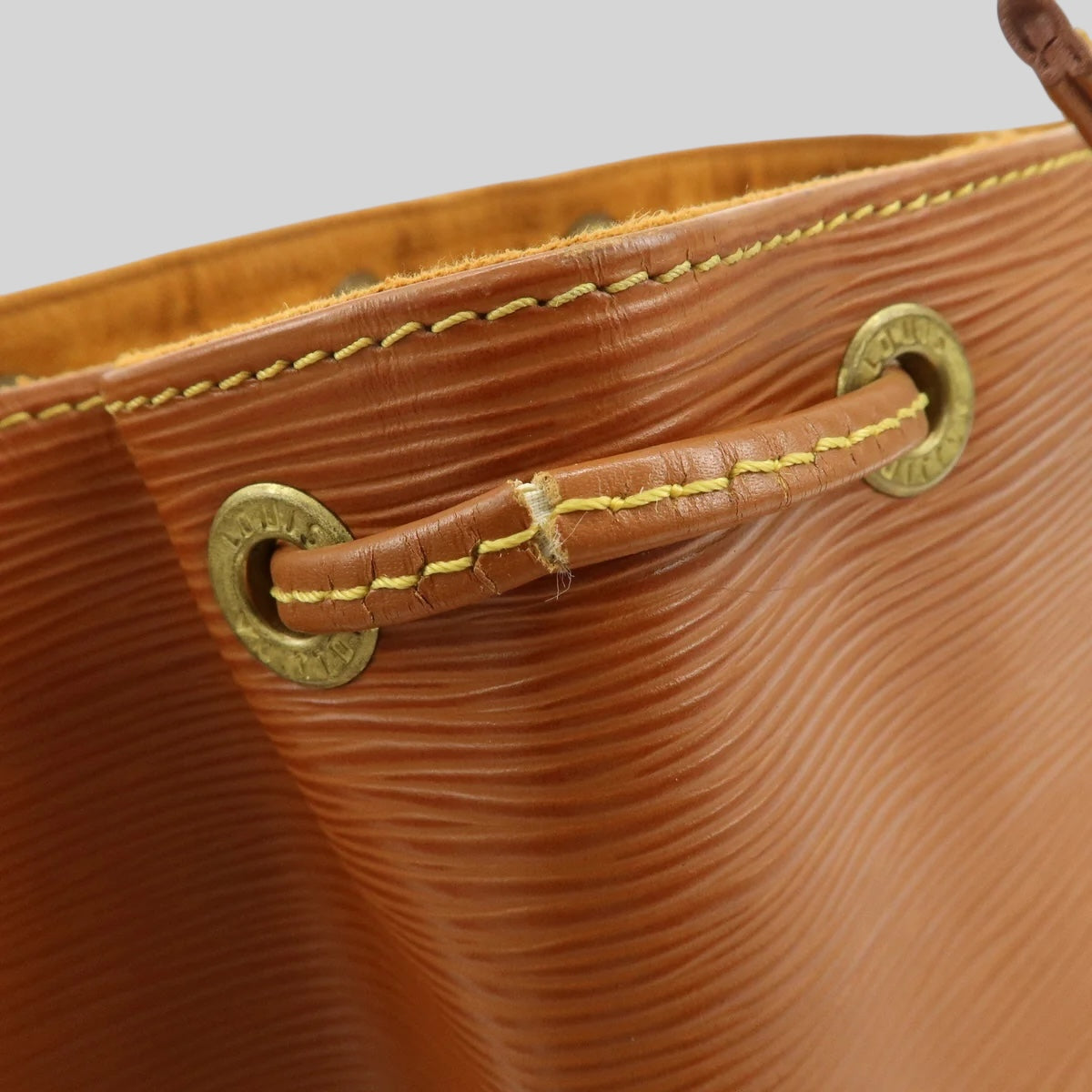 Louis Vuitton Noé PM Epi