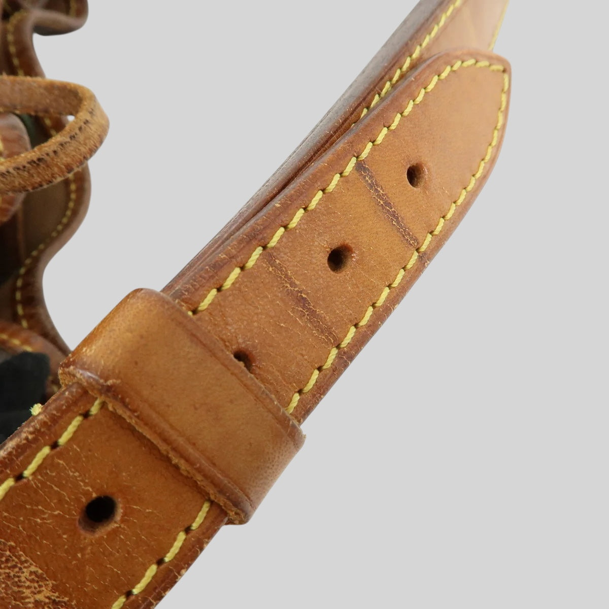 Louis Vuitton Noé PM