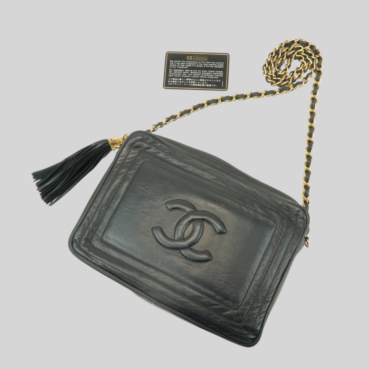 Chanel Camera Bag