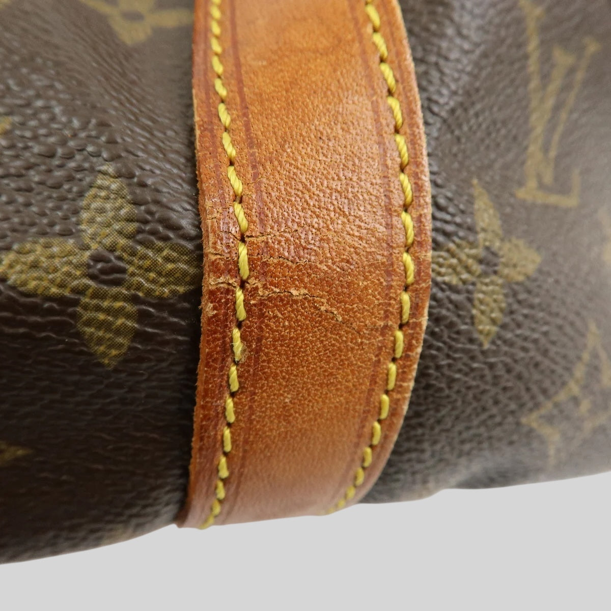 Louis Vuitton Noé PM