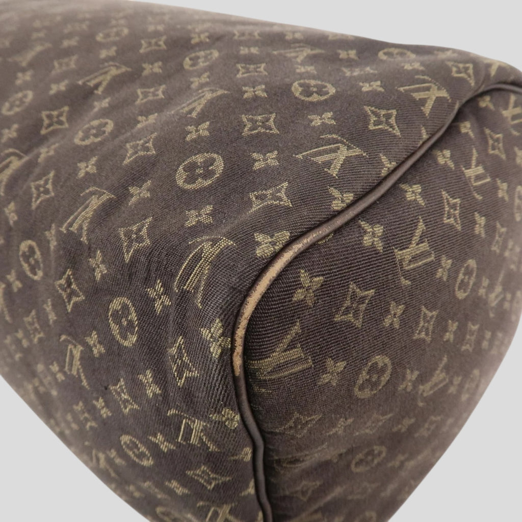 Louis Vuitton Speedy 30 Lin