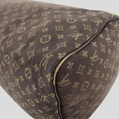 Louis Vuitton Speedy 30 Lin