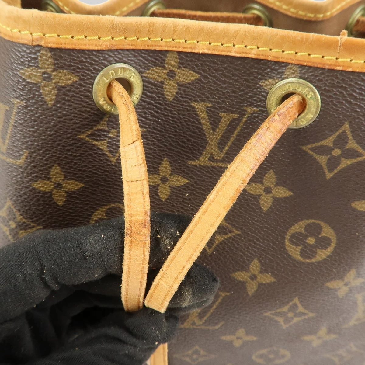 Louis Vuitton Noé PM