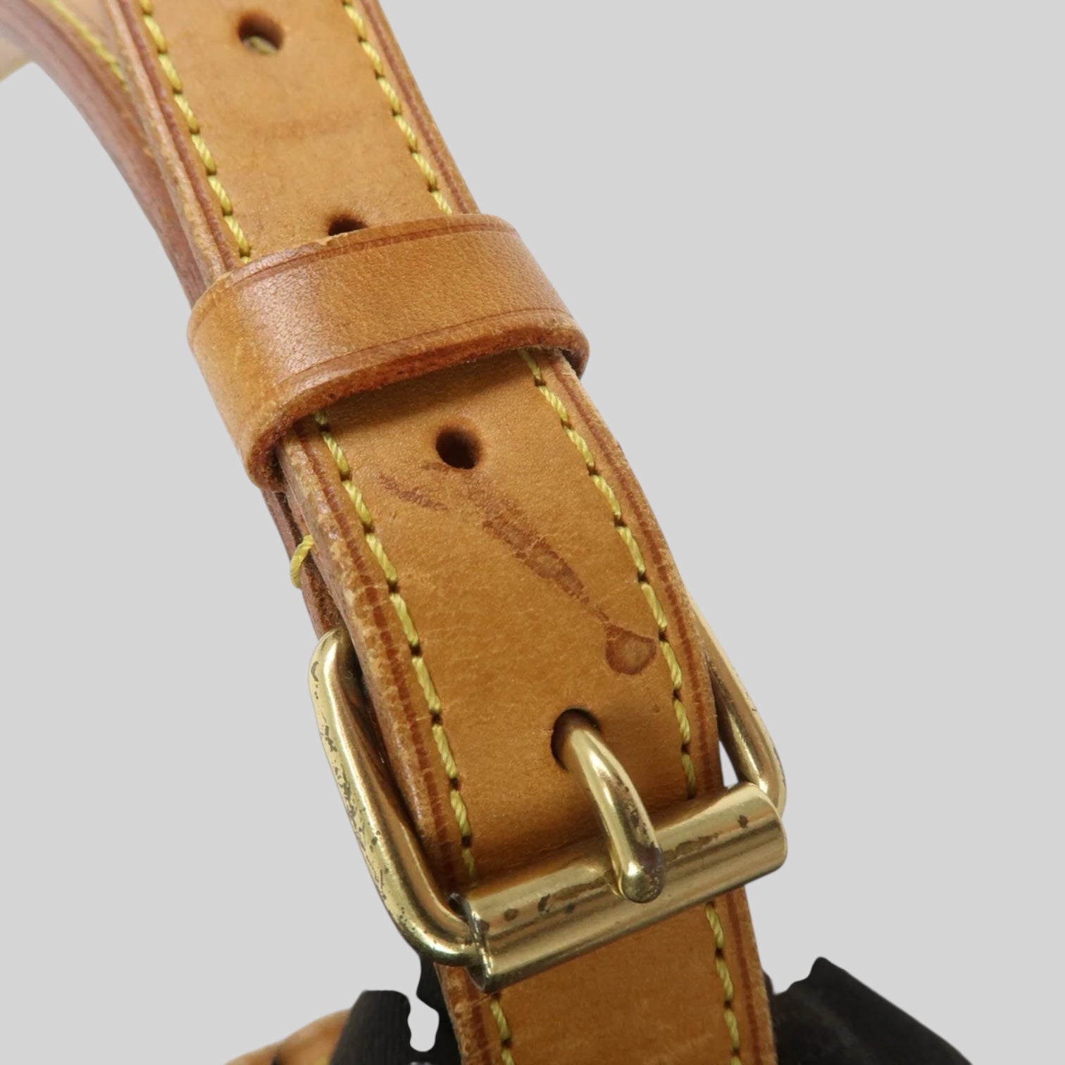 Louis Vuitton Noé PM