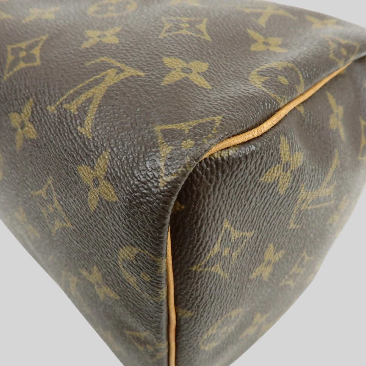 Louis Vuitton Speedy 25