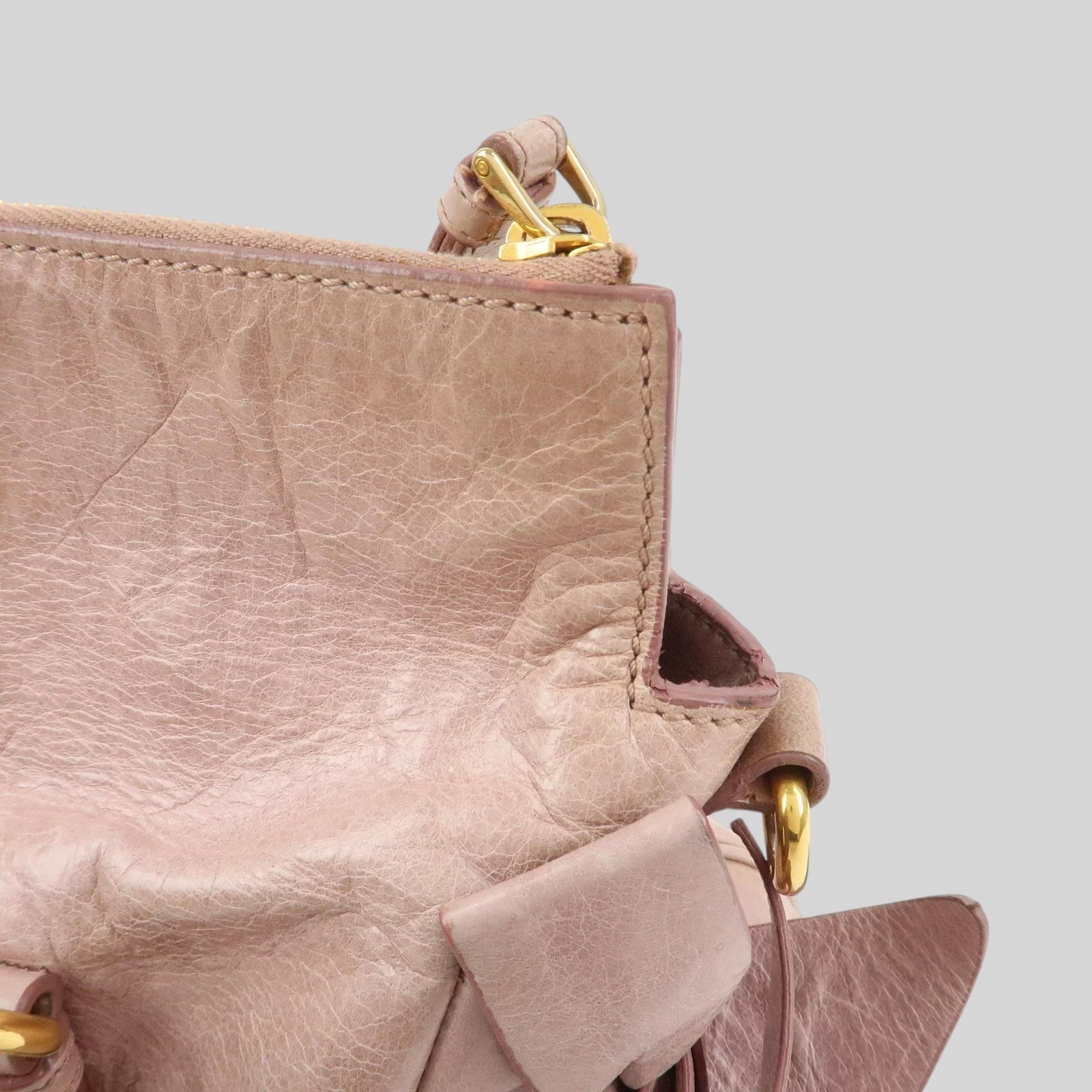 Miu Miu Vitello 2Way