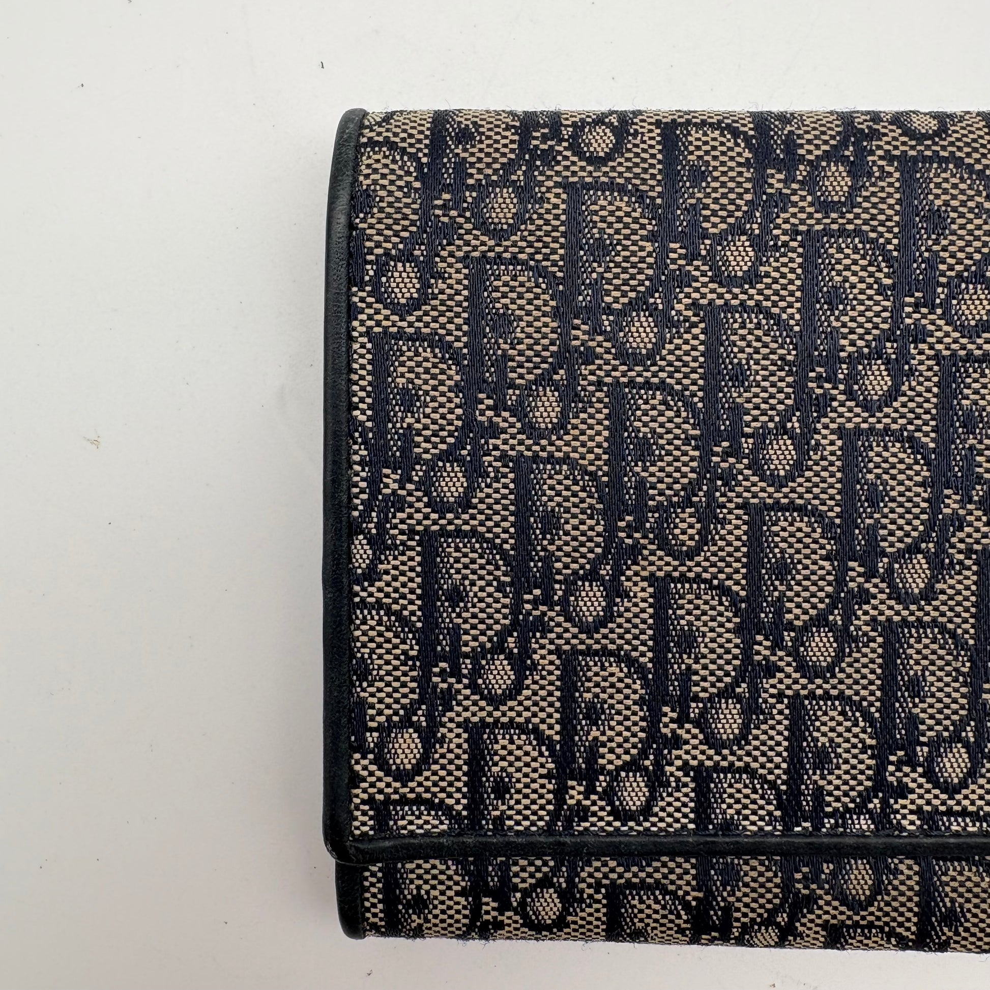 Dior Trotter