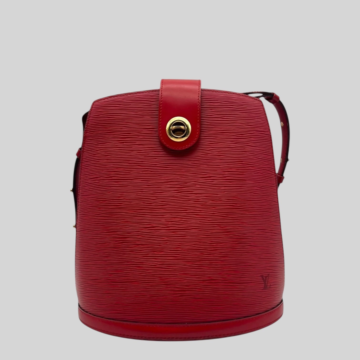 Louis Vuitton Cluny Epi