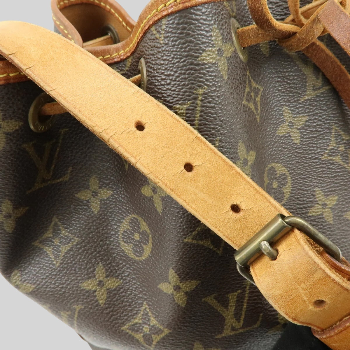 Louis Vuitton Noé PM