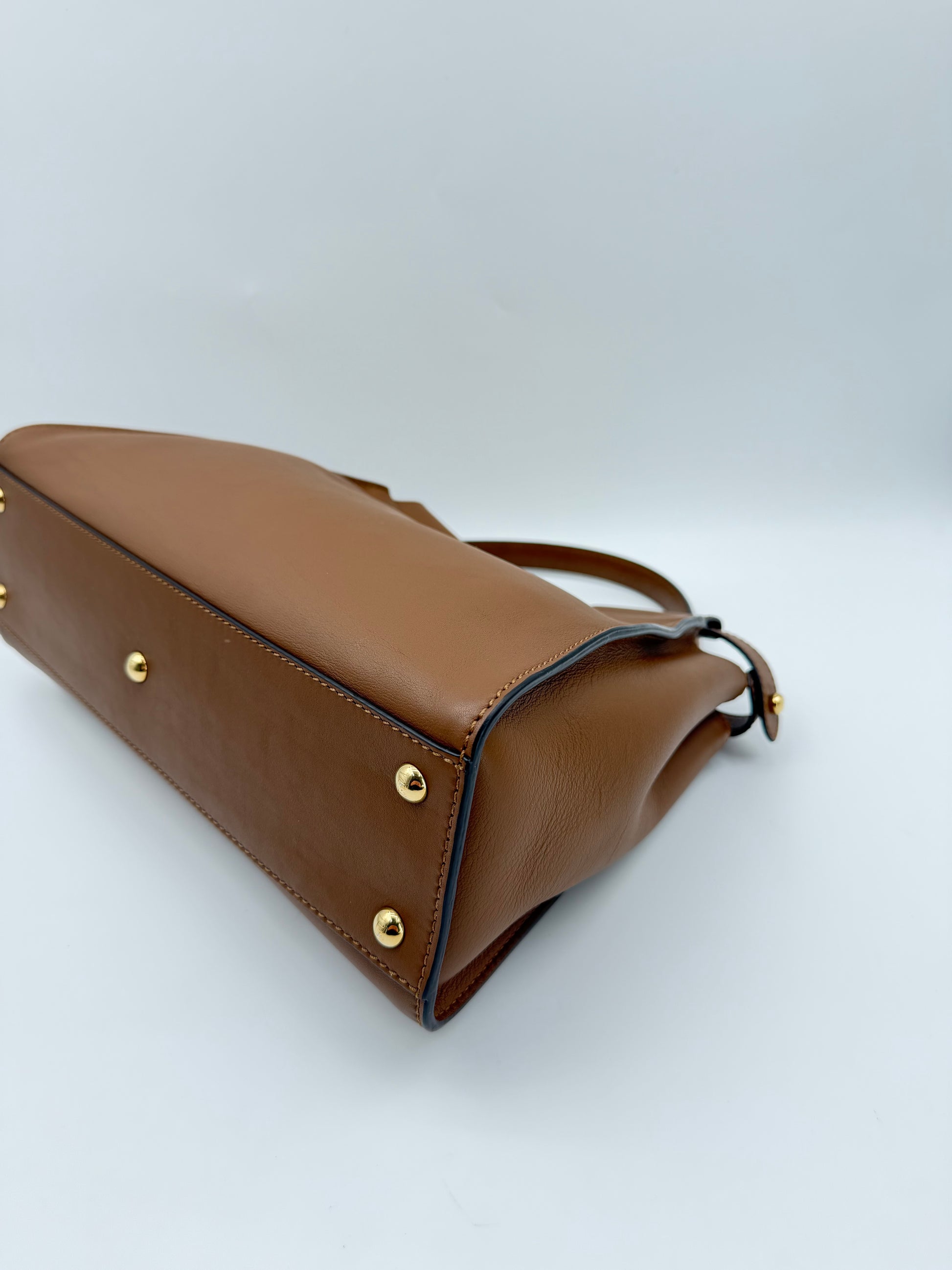 FENDI PEEKABOO PYTHON