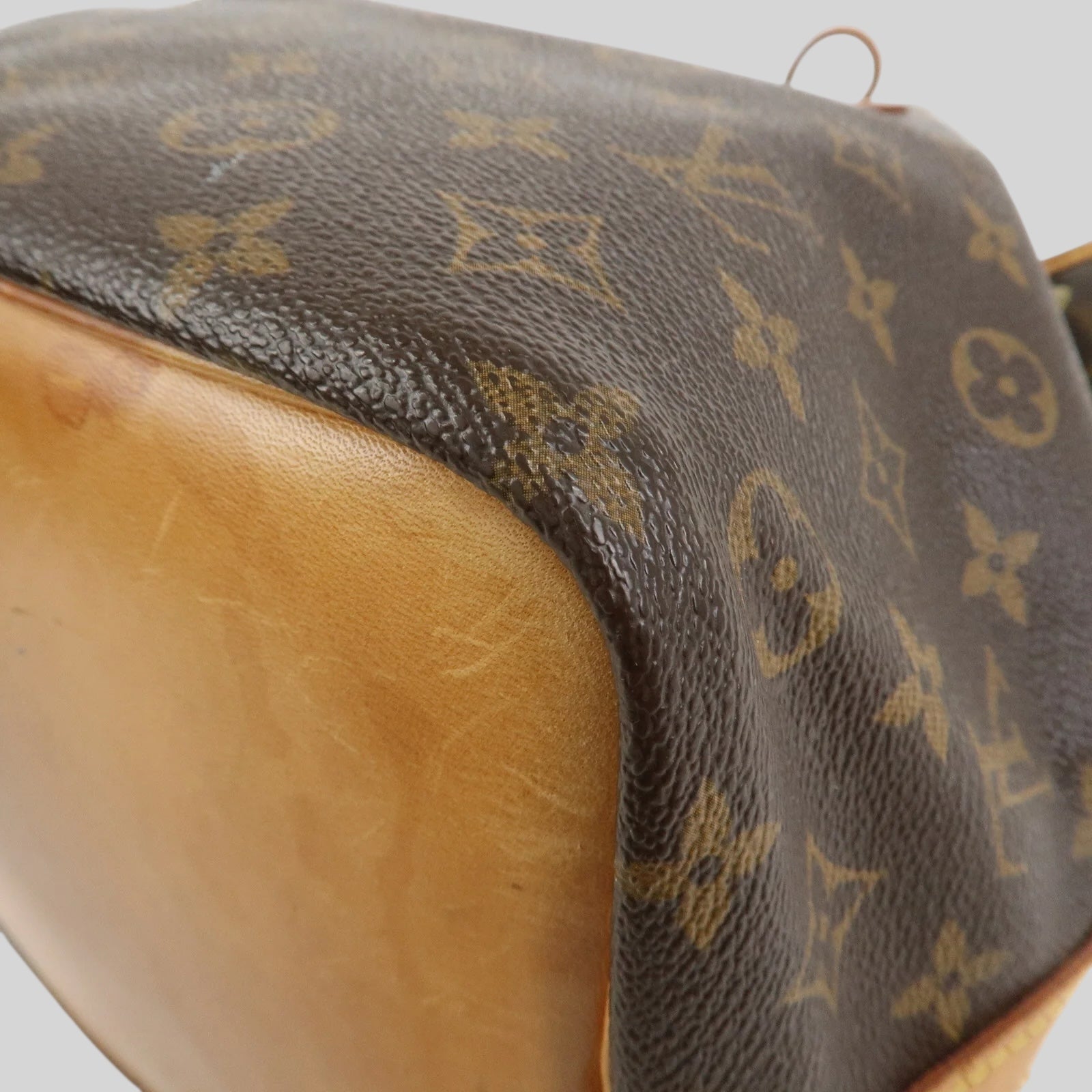 Louis Vuitton Noé PM