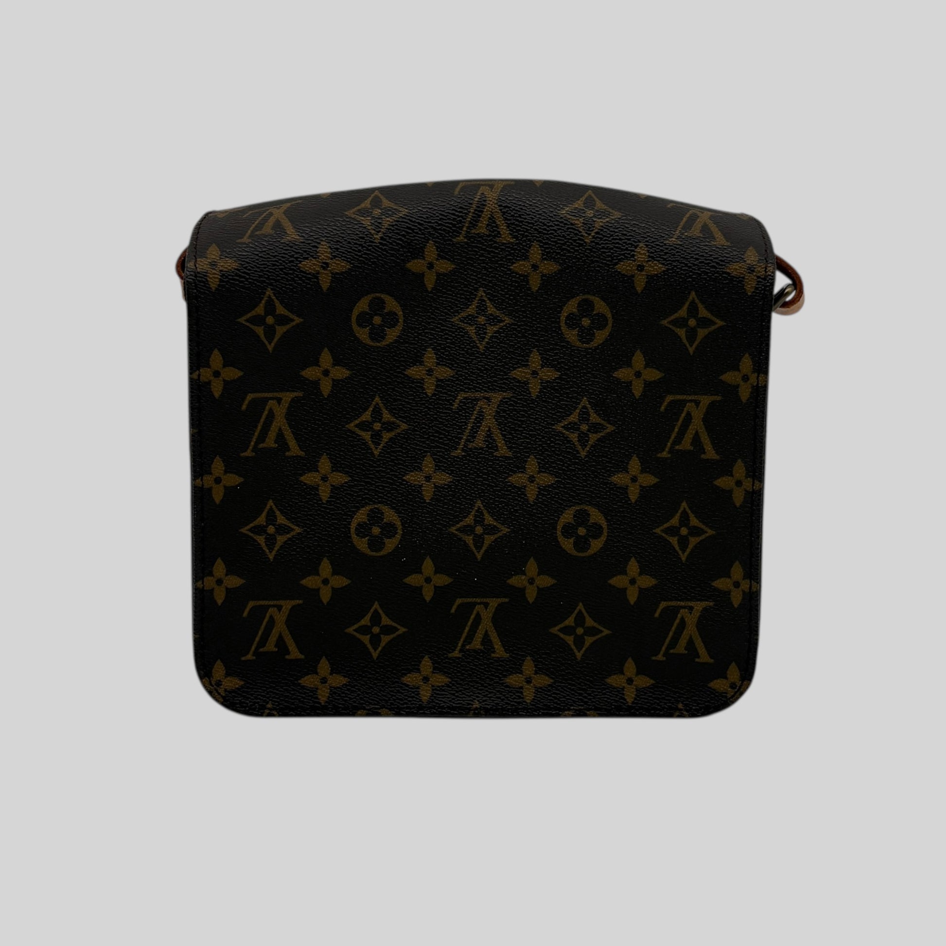Louis Vuitton Cartouchière MM