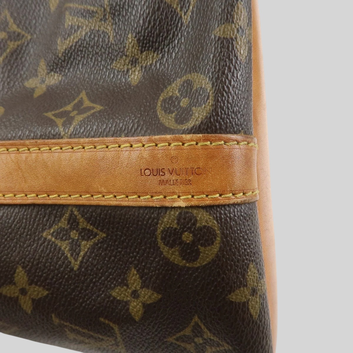 Louis Vuitton Noé PM