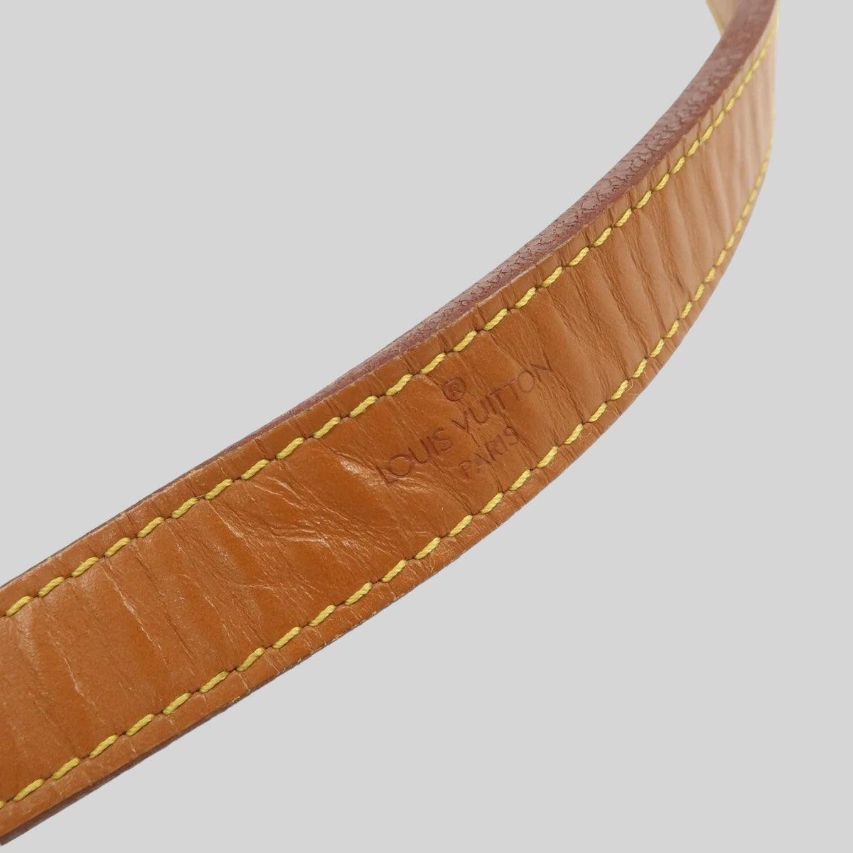 Louis Vuitton Noé PM Epi