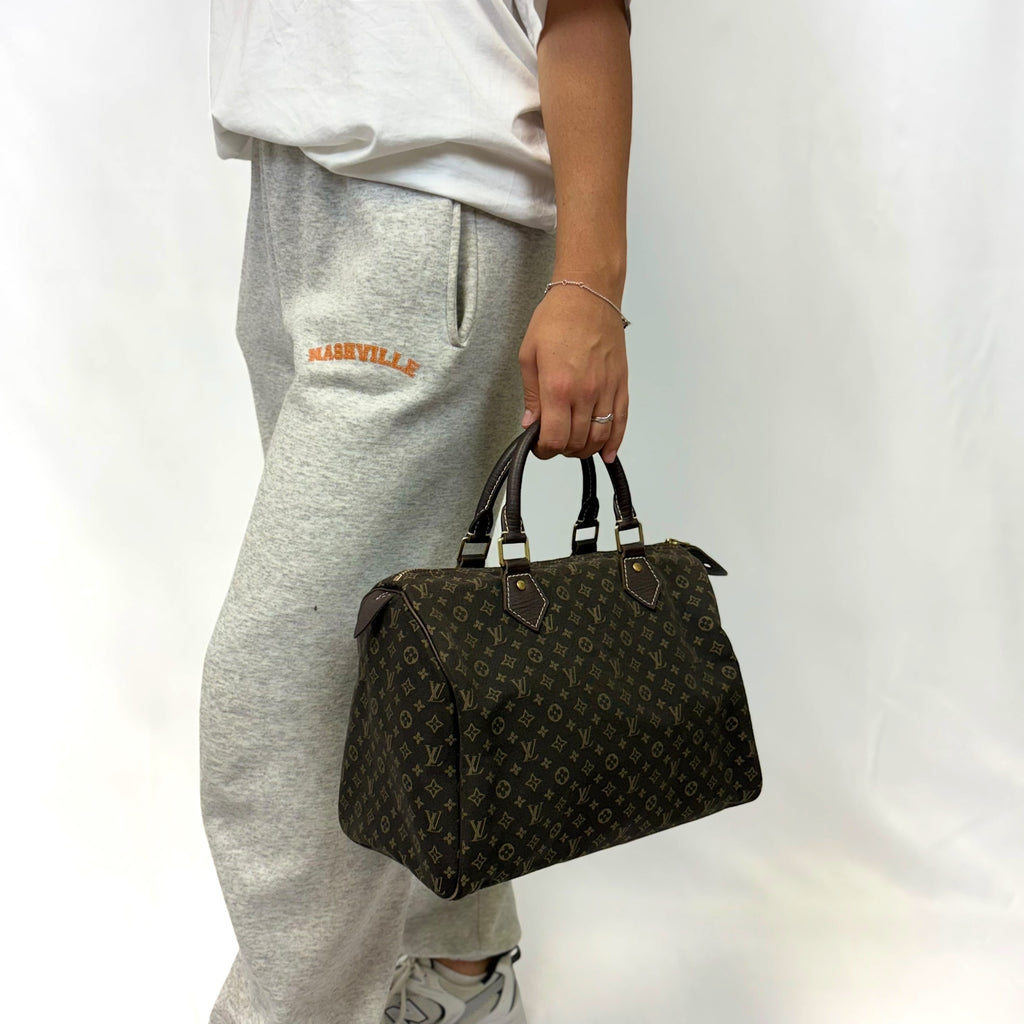 Louis Vuitton Speedy 30 Lin