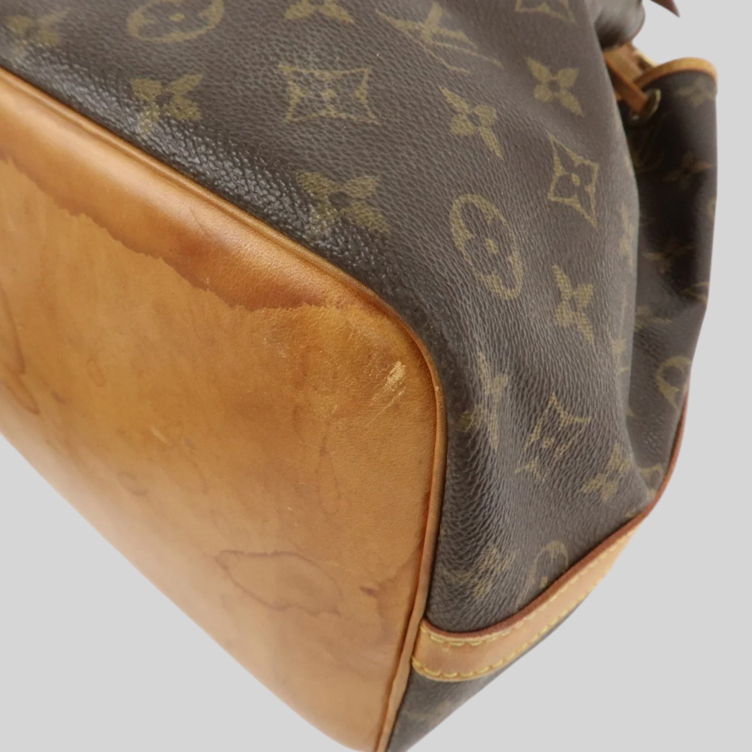 Louis Vuitton Noé PM