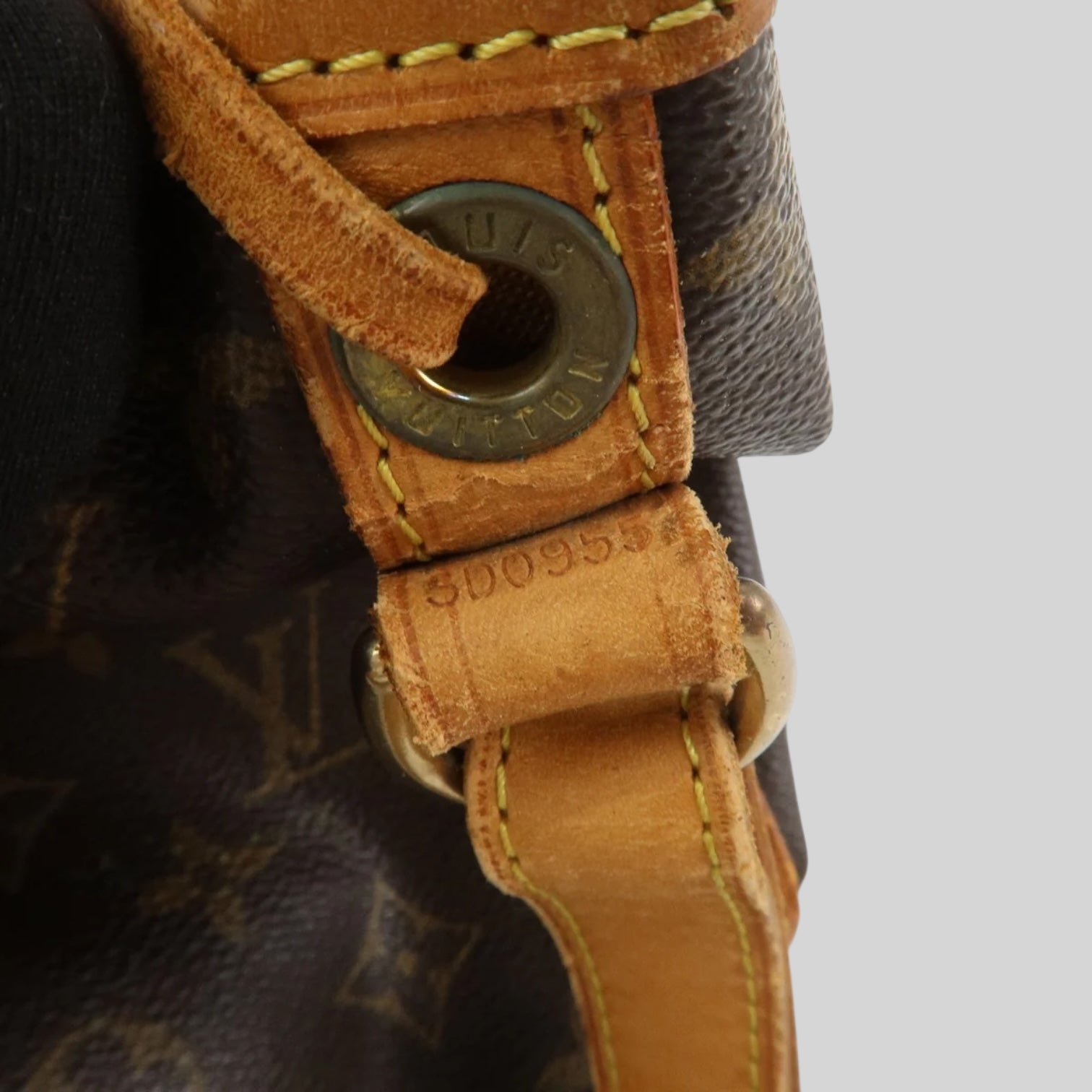 Louis Vuitton Noé PM