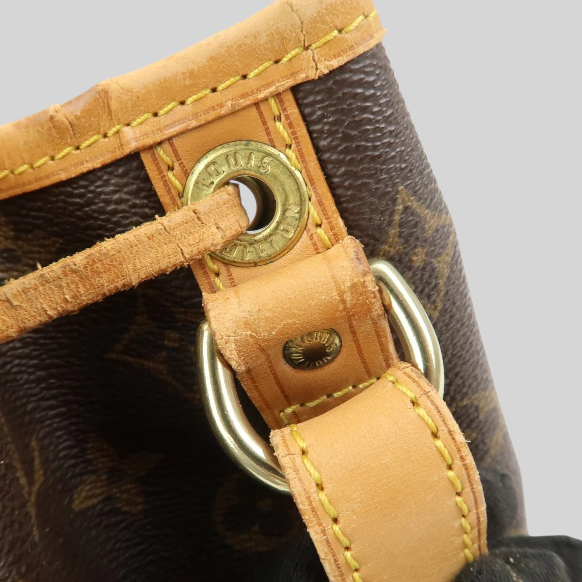 Louis Vuitton Noé PM