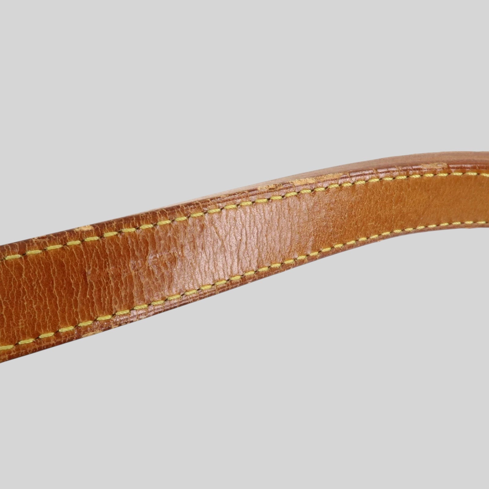 Louis Vuitton Noé PM