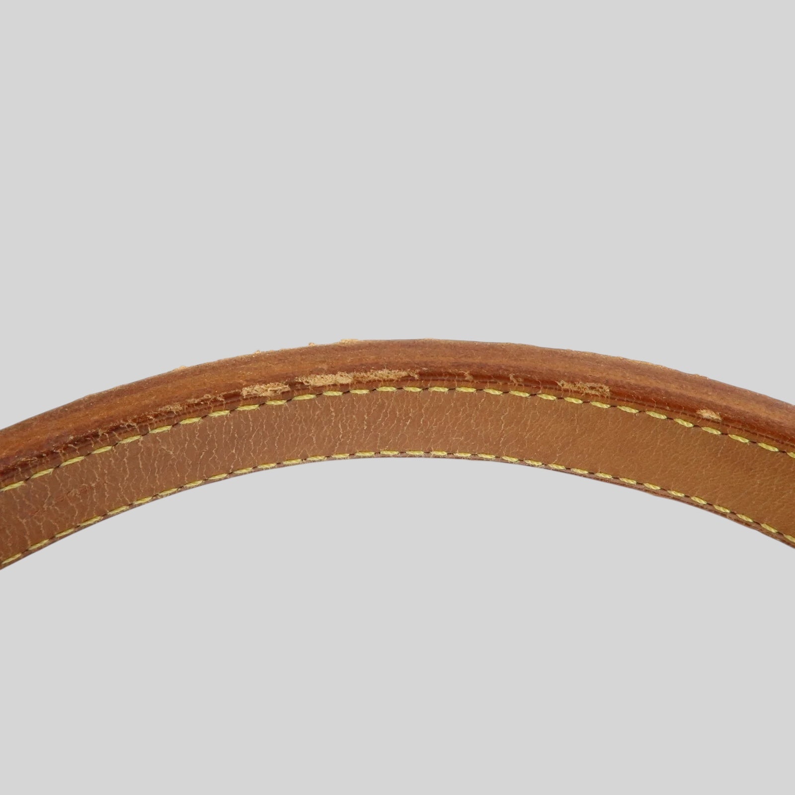 Louis Vuitton Noé PM